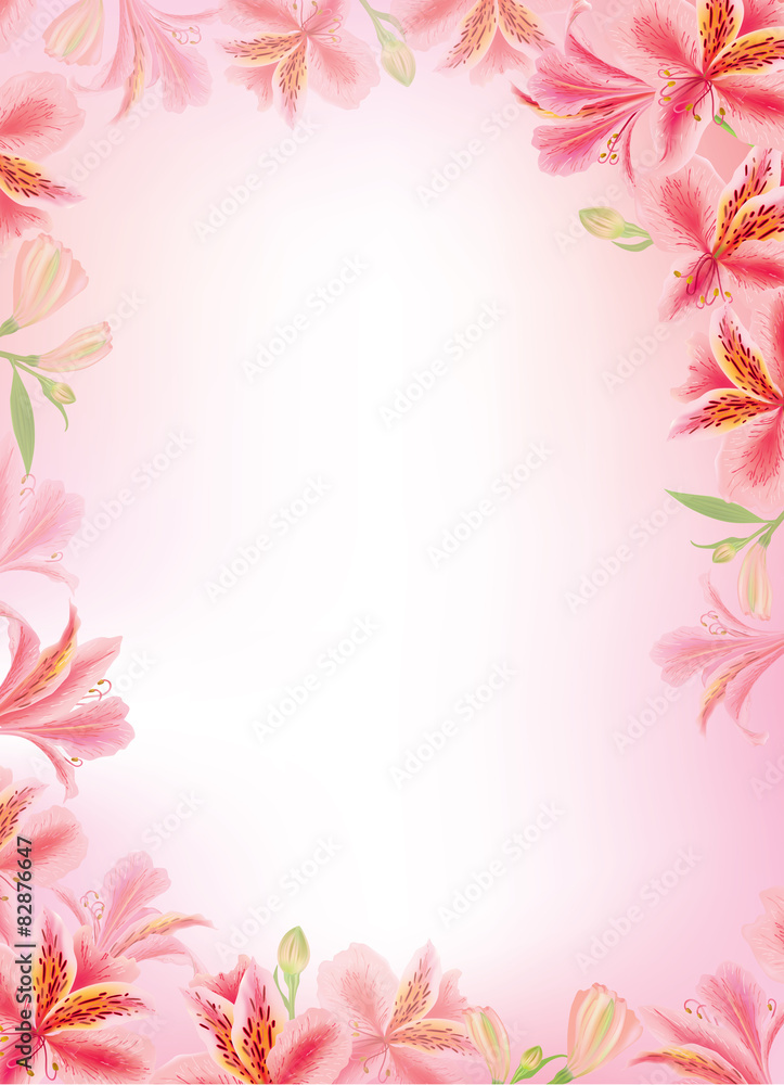 Alstroemeria vertical background Alstroemeria vertical background