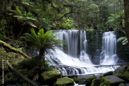 Waterfall in Tasmanian Rainforest © aquaregis
