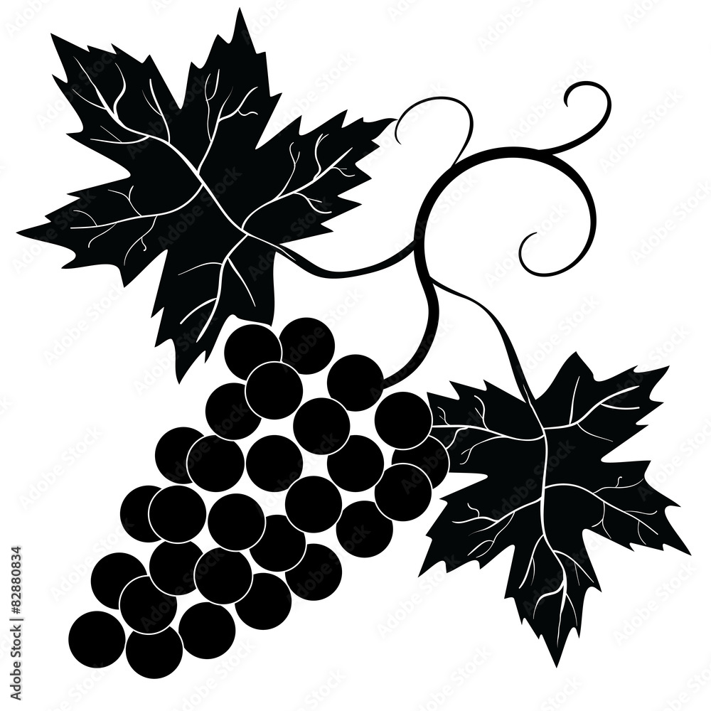 decorative vines Stock Vector
