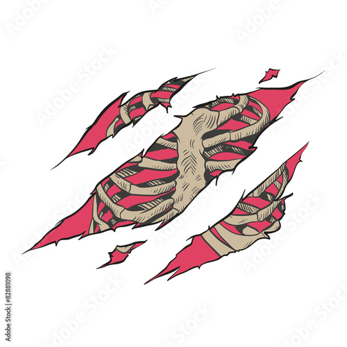 Illustration of chest bones scratch through white background