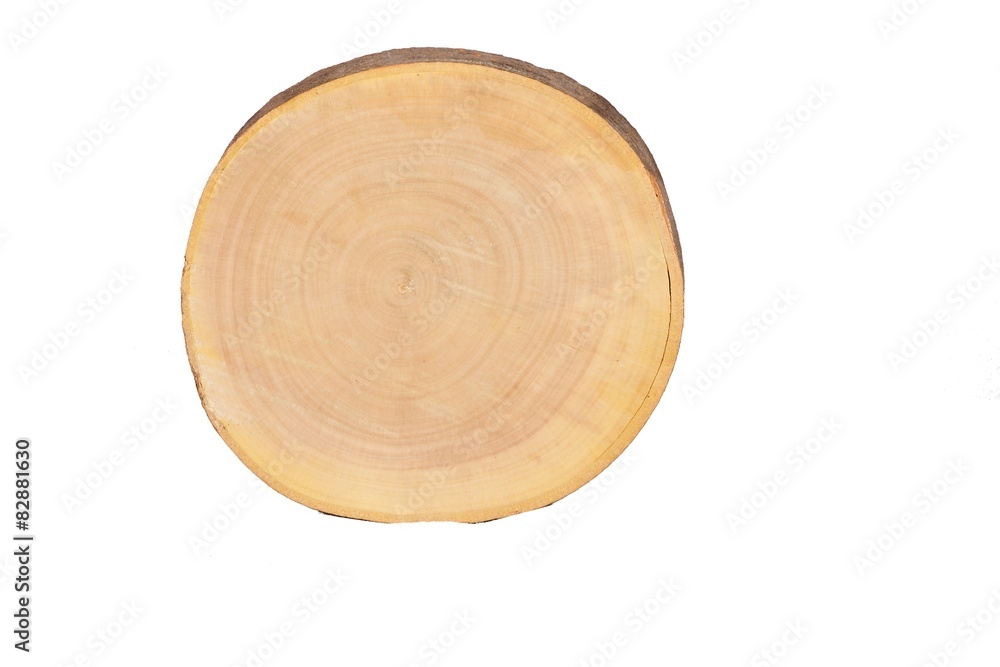 sectional view of tree sectional view of tree