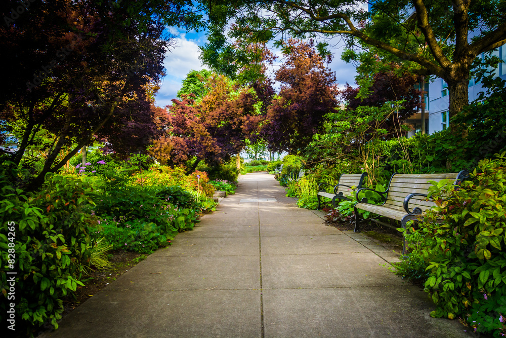 Gardens at the South Waterfront Park in Portland, Oregon. Gardens at the South Waterfront Park in Portland, Oregon.
