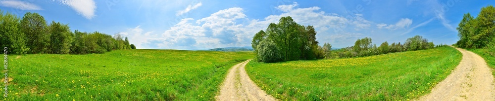 Road in spring countryside