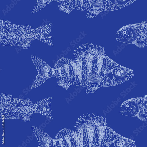 Seamless background with crucian carp on blue