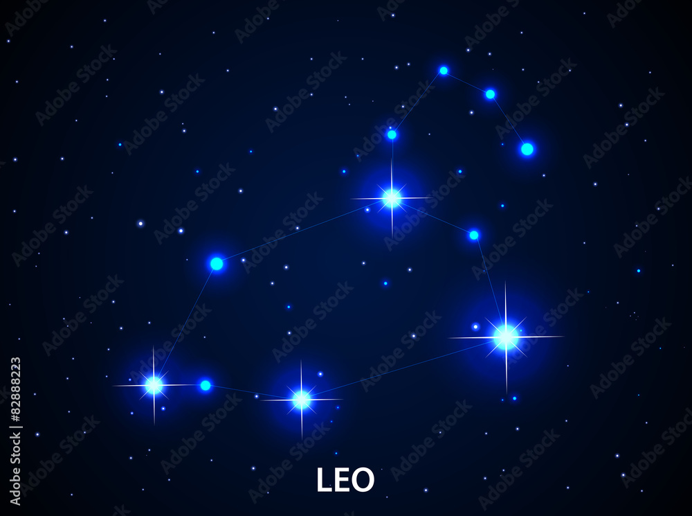 Set of Symbol Zodiac Leo Set of Symbol Zodiac Leo
