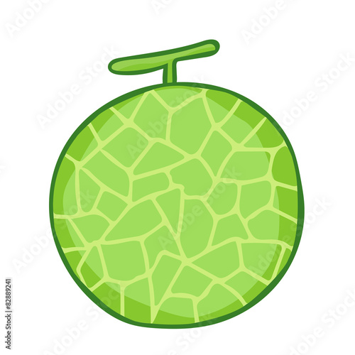 cantaloupe isolated illustration
