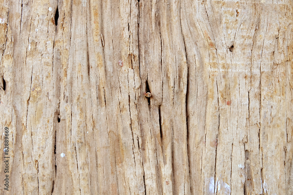 Old wood texture  background