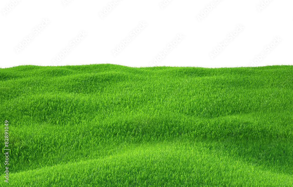 Obraz premium Green grass growing on hills with white background top view