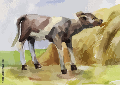 rustic watercolor illustration of a calf eating hay