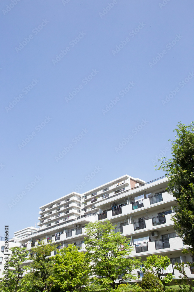 マンション(集合マンション) マンション(集合マンション)