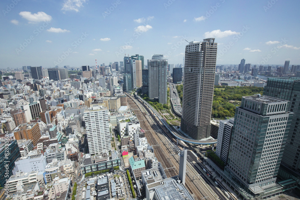 Fototapeta premium 東京 汐留方面の眺め