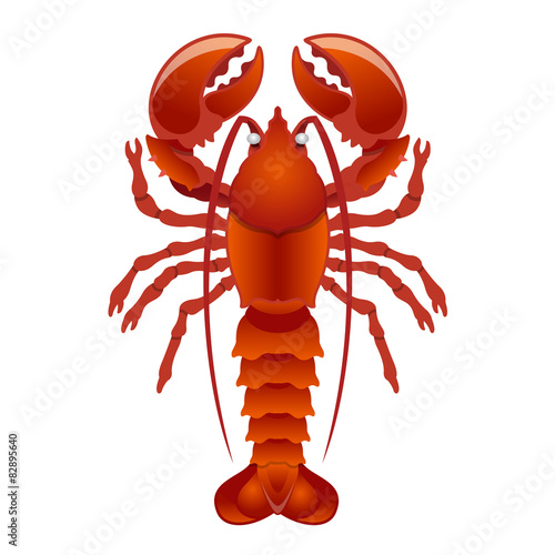 Vector lobster illustration
