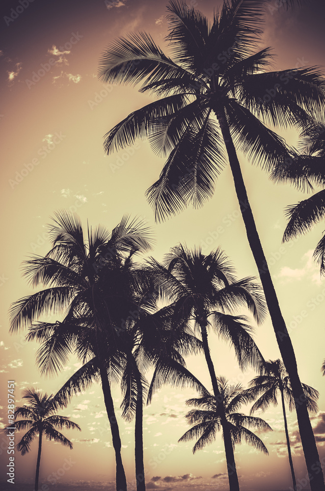 Fototapeta premium Retro Sepia Palm Trees
