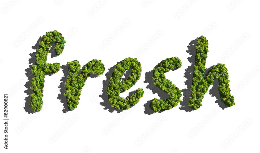 fresh create by tree with white background