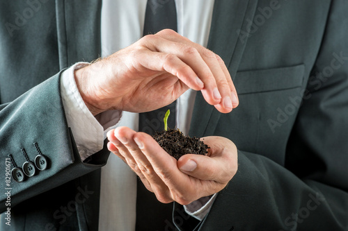 Businessman nurturing a germinating seedling photo