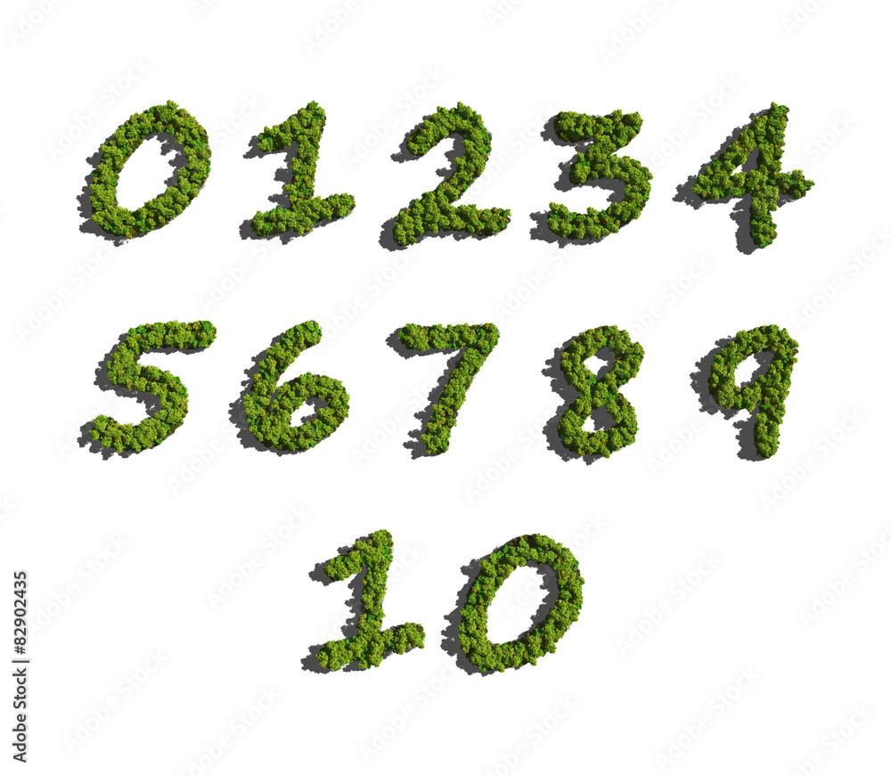 numbers create by tree white background numbers create by tree white background