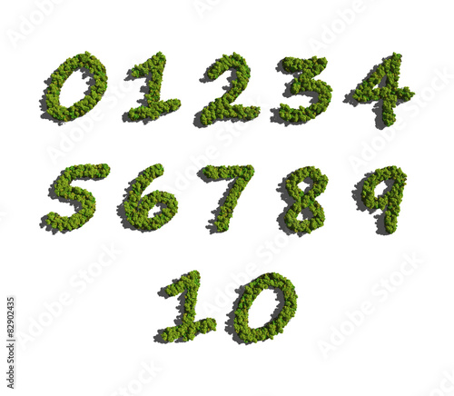 numbers create by tree white background