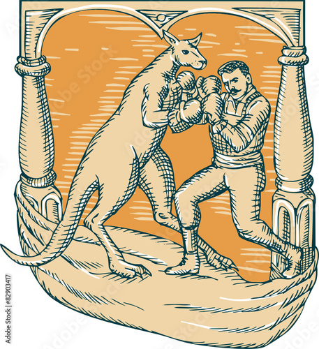 Kangaroo Boxing Man Etching