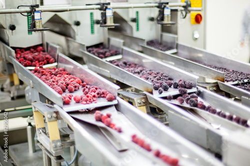 frozen raspberry processing business