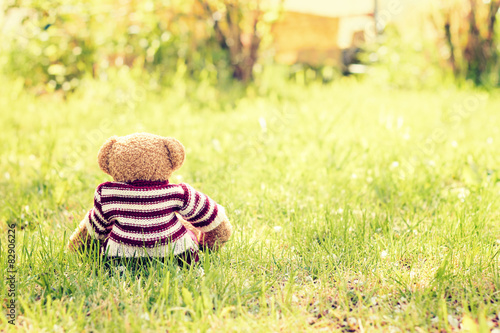 toy - little teddy bear sitting on green grass in garden