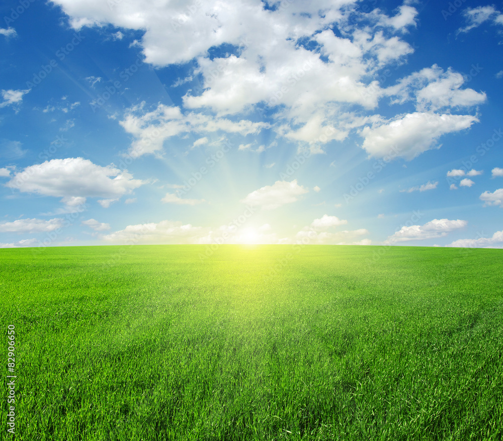  field and sun