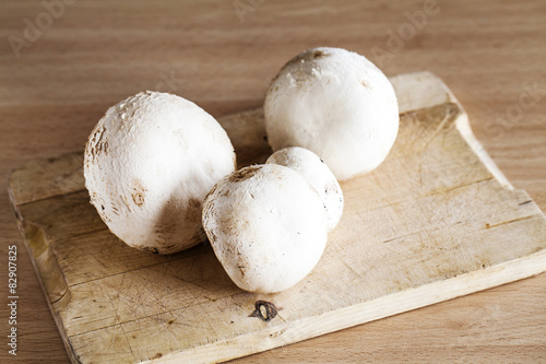 Fresh white mushrooms.