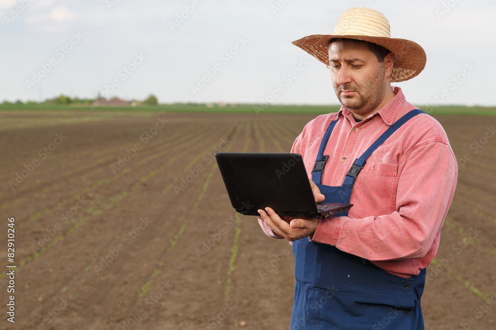 Agriculture worker working in the field