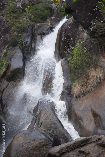 le saut de la truite photo