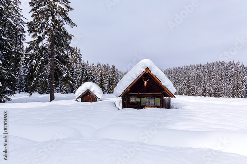 Winter holiday house in slovenia alps © Kavita