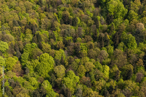 aerial view over the forest