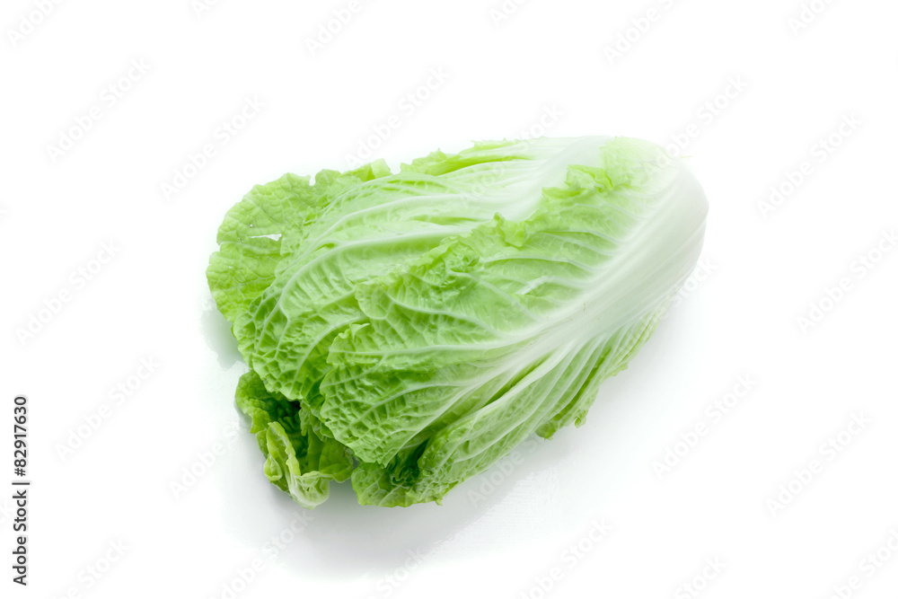 fresh chinese cabbage fresh chinese cabbage