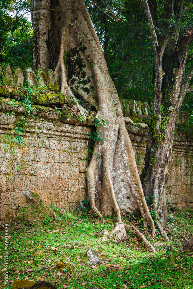 Preah Khan temple, Angkor area, Siem Reap, Cambodia