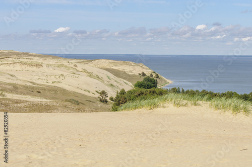 Dead dunes in Curonian Spit, Lithuania, Europe