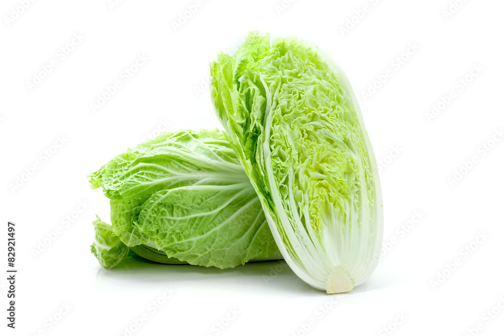 fresh chinese cabbage fresh chinese cabbage