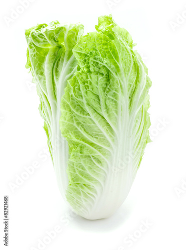 fresh chinese cabbage