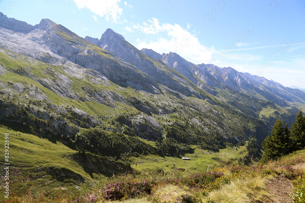 Naklejka premium Montagne