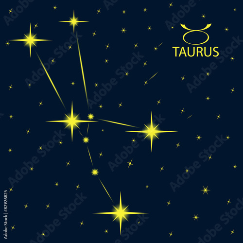 Zodiacal constellations TAURUS.
