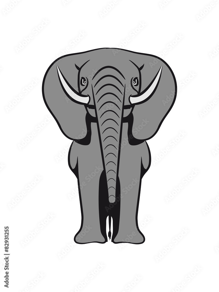Elephant large Elephant large