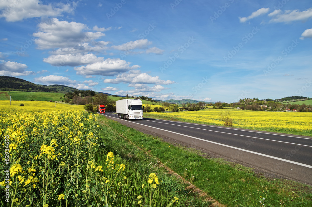 Trucks driving along the asphalt road between rapeseed fields