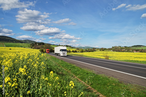 Obraz na płótnie Trucks driving along the asphalt road between rapeseed fields w salonie