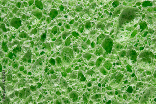 Cellular sponge texture background