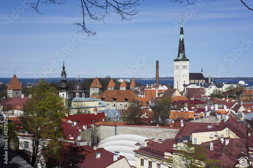 Panorama of old town Tallinn