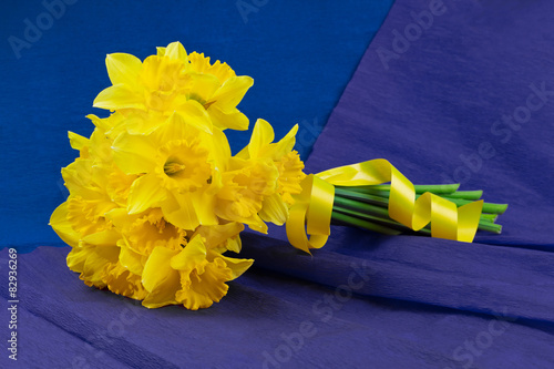 Bucket of narcissus flowers on blue-purple background