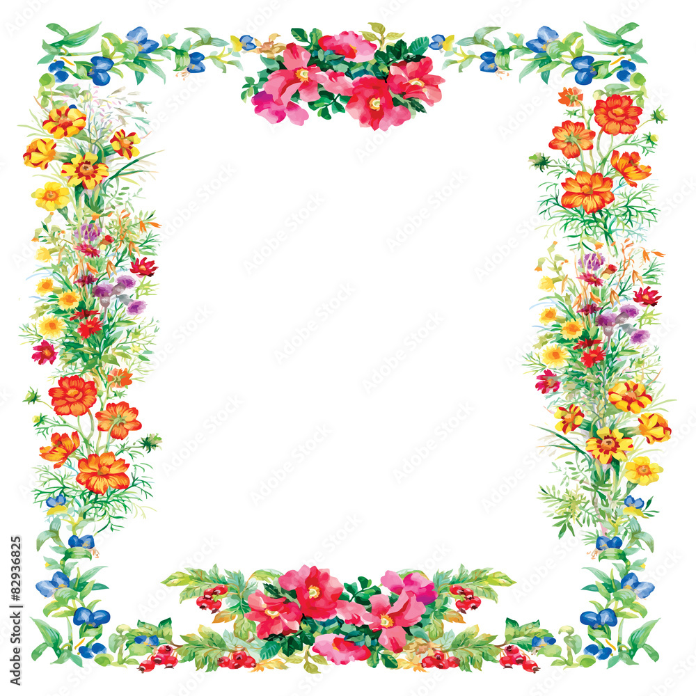 Wild flowers pattern on white background