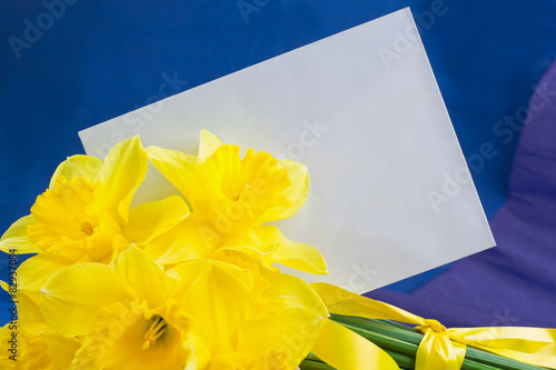 Bucket of narcissus flowers, envelope on blue-purple background