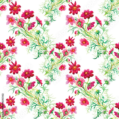 Wild flowers seamless pattern on white background