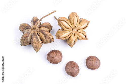 Image of sacha inchi peanut seed