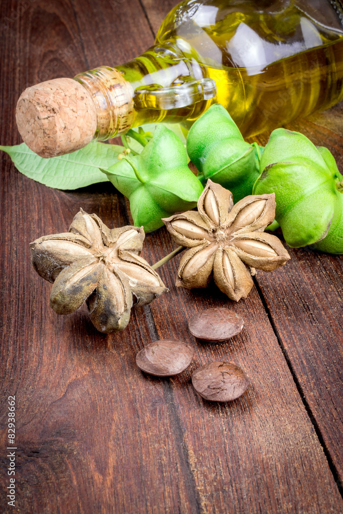 Fototapeta premium dried capsule seeds fruit of sacha-Inchi peanut