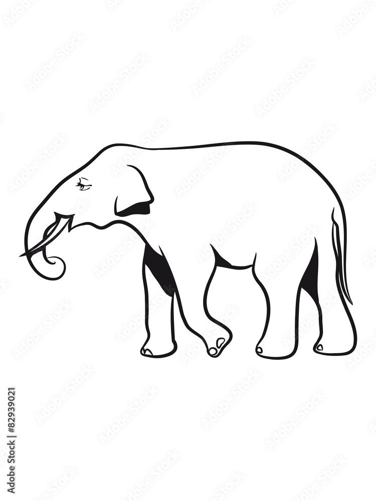 Fototapeta premium Elephant