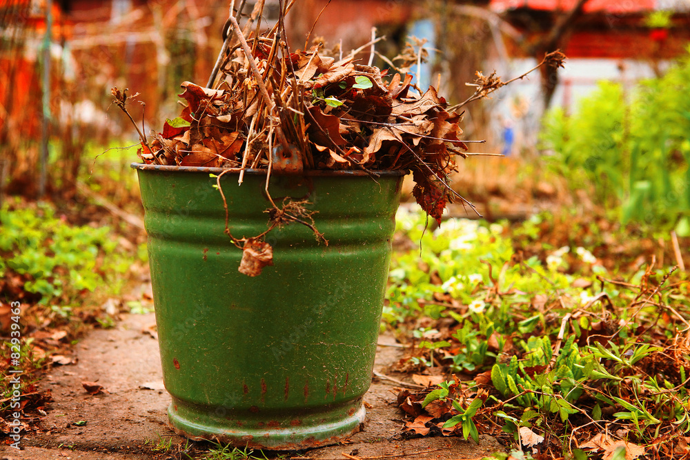 old leafs and branches in the green iron bin on the country spri Stock